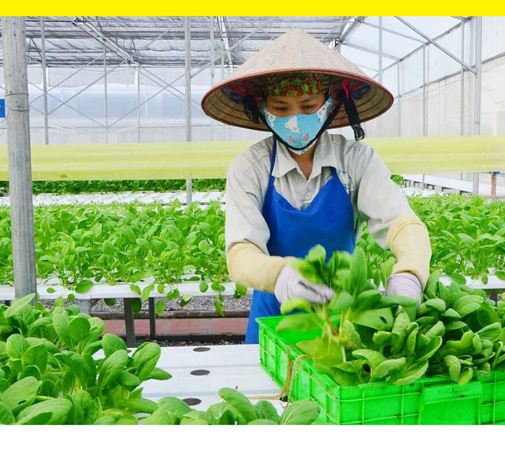 Dự đo&aacute;n xu hướng ti&ecirc;u dùng 2024: AI len lỏi mọi nơi, đừng tự biến m&igrave;nh th&agrave;nh kẻ chậm ch&acirc;n, lỗi thời!- Ảnh 26.