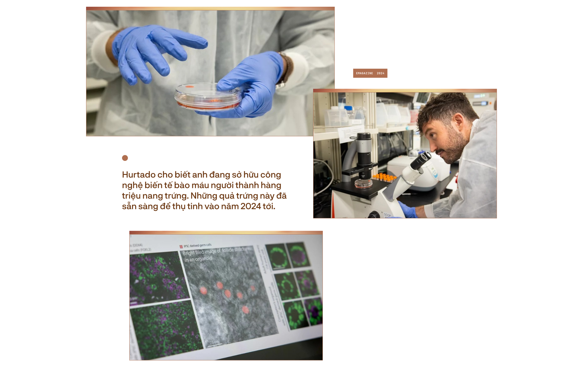 IVF 2.0: C&ocirc;ng nghệ sinh sản lấy trứng từ nam giới, tinh tr&ugrave;ng từ phụ nữ, hứa hẹn x&oacute;a sổ bệnh v&ocirc; sinh v&agrave; gi&uacute;p mọi cặp LGBT c&oacute; con- Ảnh 18.