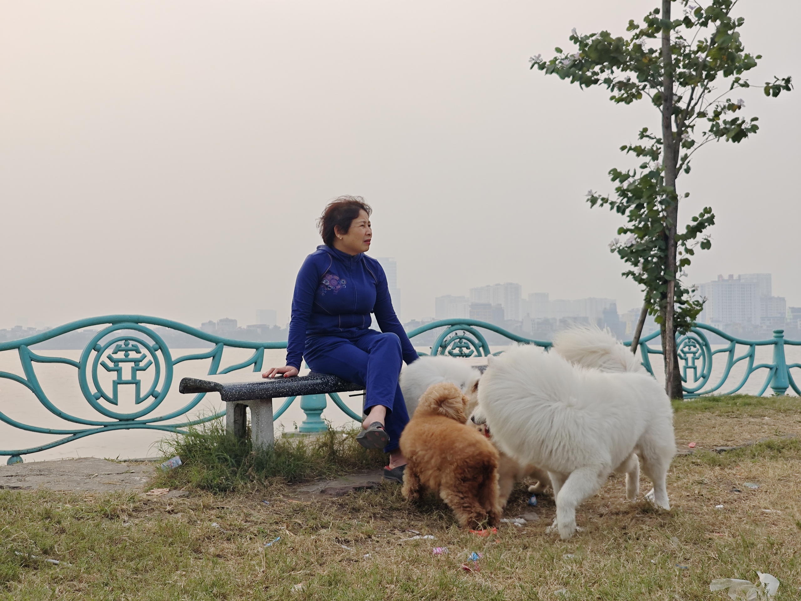 Xiaomi 14 là chiếc 'smartphone nhỏ' mà tôi chờ đợi bấy lâu nay- Ảnh 32. Xiaomi 14 là chiếc 'smartphone nhỏ' mà tôi chờ đợi bấy lâu nay- Ảnh 32.