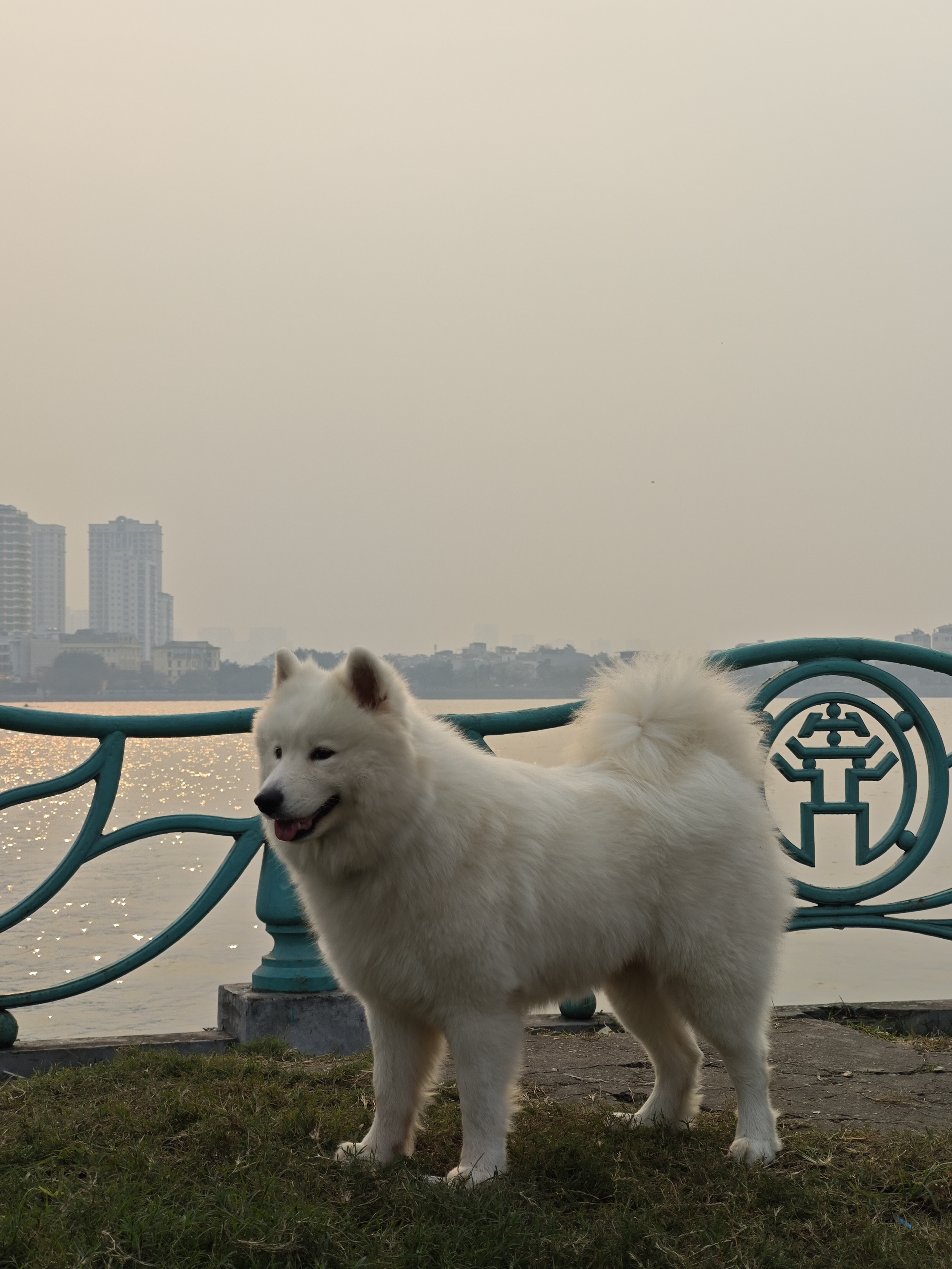 Xiaomi 14 là chiếc 'smartphone nhỏ' mà tôi chờ đợi bấy lâu nay- Ảnh 30. Xiaomi 14 là chiếc 'smartphone nhỏ' mà tôi chờ đợi bấy lâu nay- Ảnh 30.