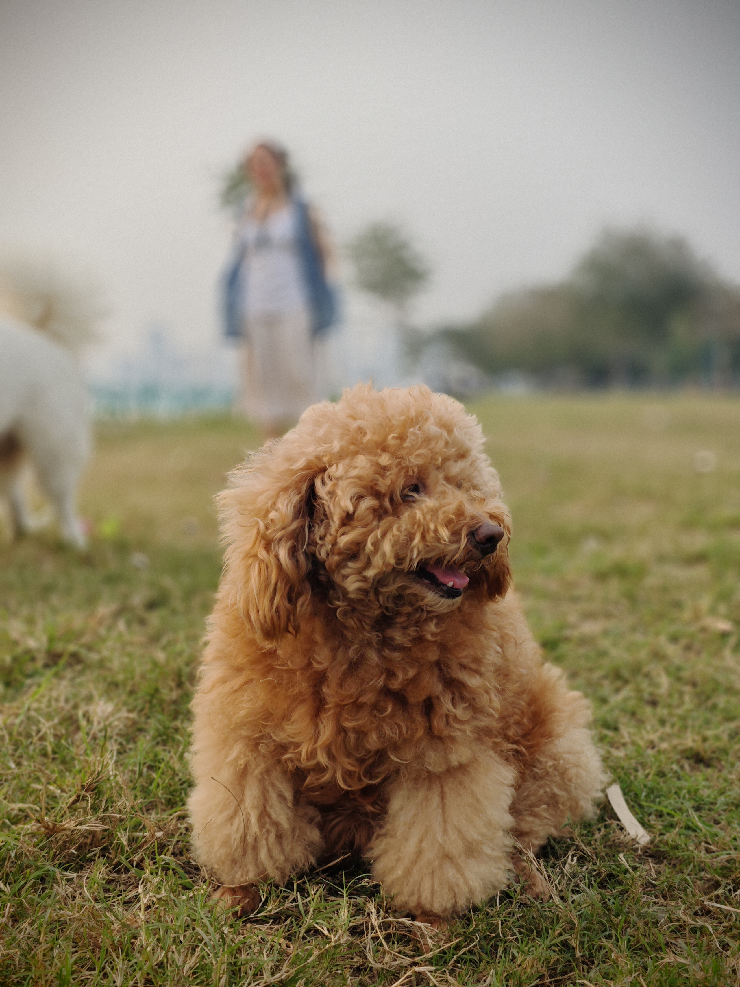 Xiaomi 14 là chiếc 'smartphone nhỏ' mà tôi chờ đợi bấy lâu nay- Ảnh 29. Xiaomi 14 là chiếc 'smartphone nhỏ' mà tôi chờ đợi bấy lâu nay- Ảnh 29.