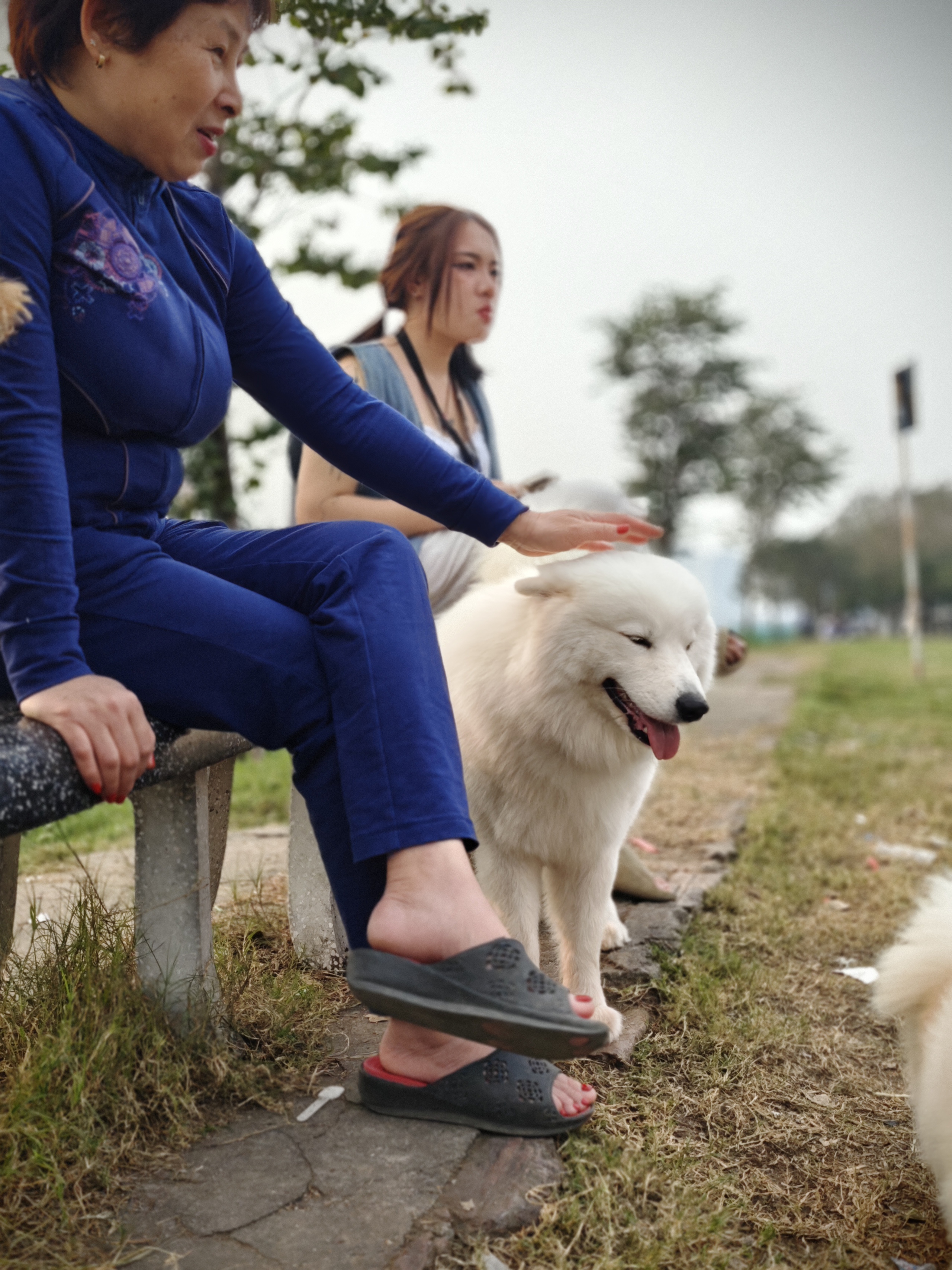 Xiaomi 14 là chiếc 'smartphone nhỏ' mà tôi chờ đợi bấy lâu nay- Ảnh 31. Xiaomi 14 là chiếc 'smartphone nhỏ' mà tôi chờ đợi bấy lâu nay- Ảnh 31.