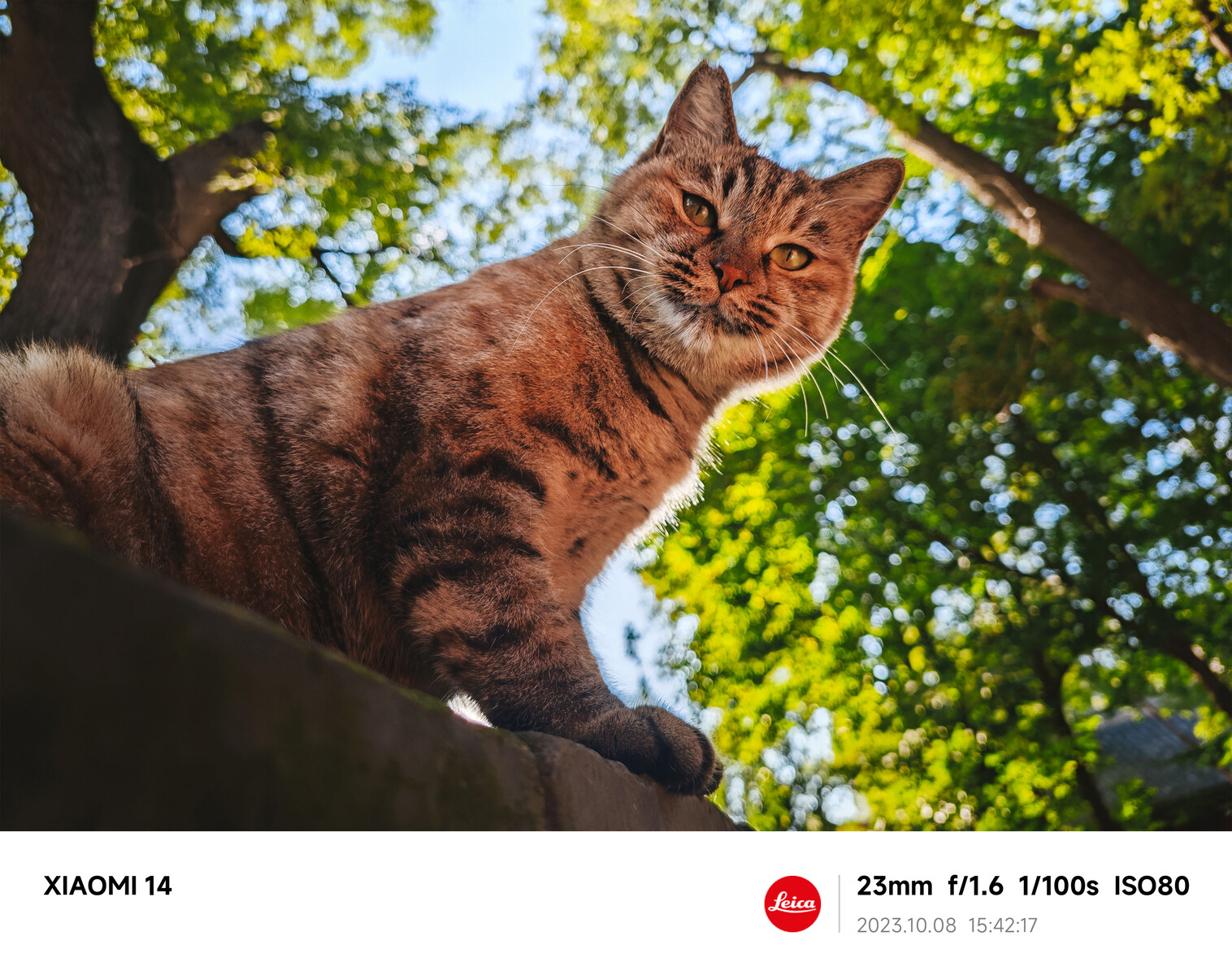 Mối lương duy&ecirc;n với Leica đ&atilde; thay đổi smartphone Xiaomi như thế n&agrave;o?- Ảnh 9.