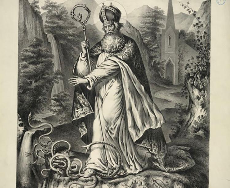 Vì sao Ireland là quốc gia duy nhất trên thế giới không có rắn cư ngụ?- Ảnh 1. Vì sao Ireland là quốc gia duy nhất trên thế giới không có rắn cư ngụ?- Ảnh 1.