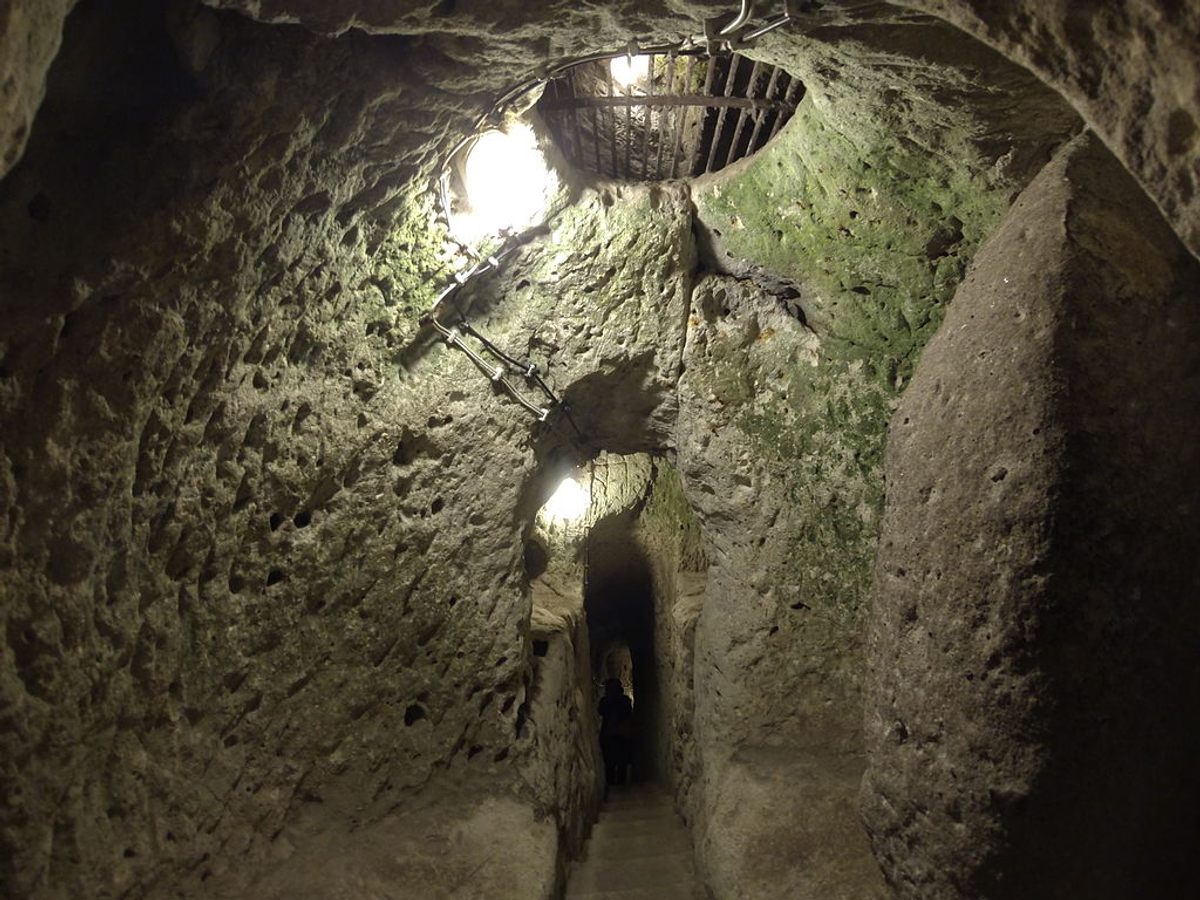 Đàn gà cứ mất tích rồi lại xuất hiện: Anh nông dân lần theo dấu vết, chứng kiến cảnh Đàn gà cứ mất tích rồi lại xuất hiện: Anh nông dân lần theo dấu vết, chứng kiến cảnh