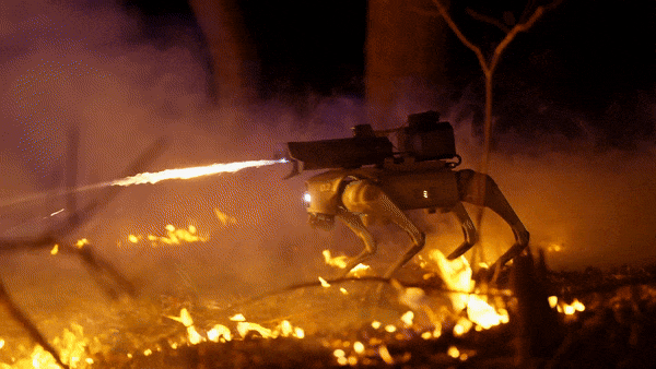 Kỳ lạ robot ch&oacute; phun lửa gi&aacute; gần 10.000 USD, cực kỳ nguy hiểm nhưng vẫn được b&aacute;n c&ocirc;ng khai tr&ecirc;n website- Ảnh 1.