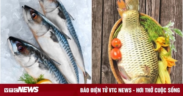 Ăn cá nước mặn hay cá nước ngọt bổ dưỡng hơn?- Ảnh 1. Ăn cá nước mặn hay cá nước ngọt bổ dưỡng hơn?- Ảnh 1.