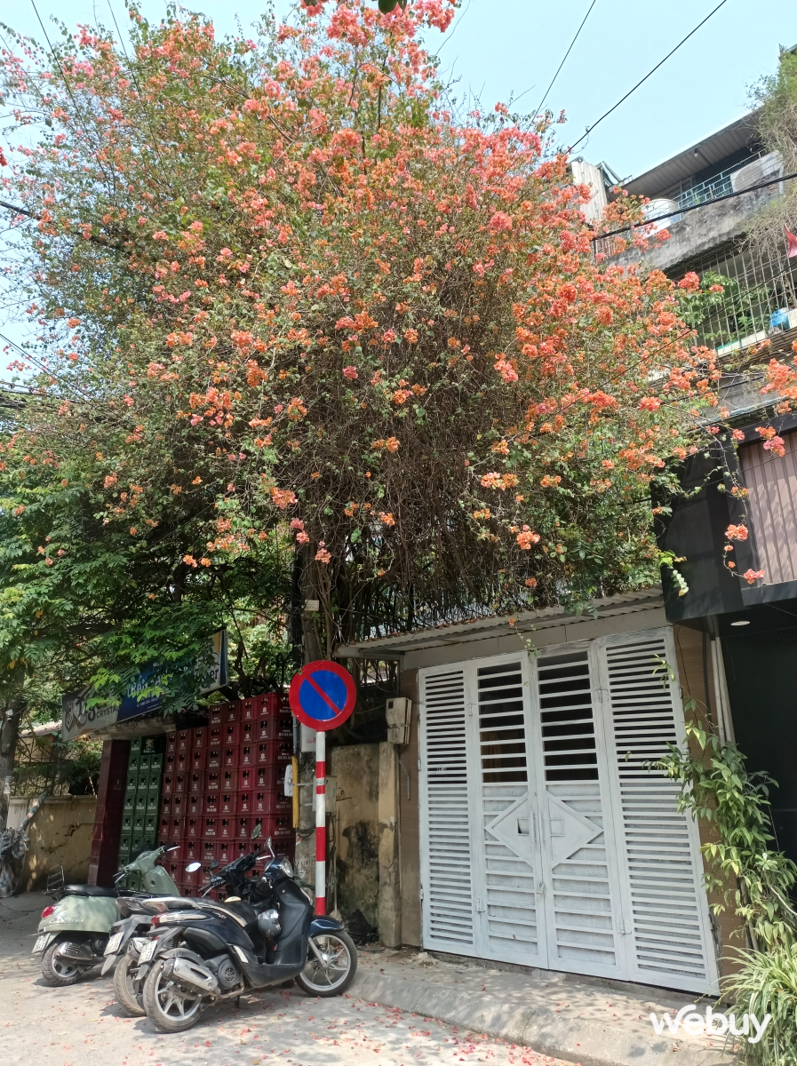 Điện thoại hãng lạ giá 4 triệu mà bộ nhớ và RAM gấp đôi iPhone 15, nhà sản xuất còn “có tâm” ngay ở khoản này- Ảnh 14. Điện thoại hãng lạ giá 4 triệu mà bộ nhớ và RAM gấp đôi iPhone 15, nhà sản xuất còn “có tâm” ngay ở khoản này- Ảnh 14.