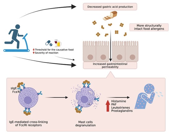 Dị ứng với tập thể dục là có thật: Từ ngứa, sốc phản vệ tới tử vong, bạn cần đặc biệt cảnh giác nếu có các triệu chứng sau- Ảnh 5. Dị ứng với tập thể dục là có thật: Từ ngứa, sốc phản vệ tới tử vong, bạn cần đặc biệt cảnh giác nếu có các triệu chứng sau- Ảnh 5.