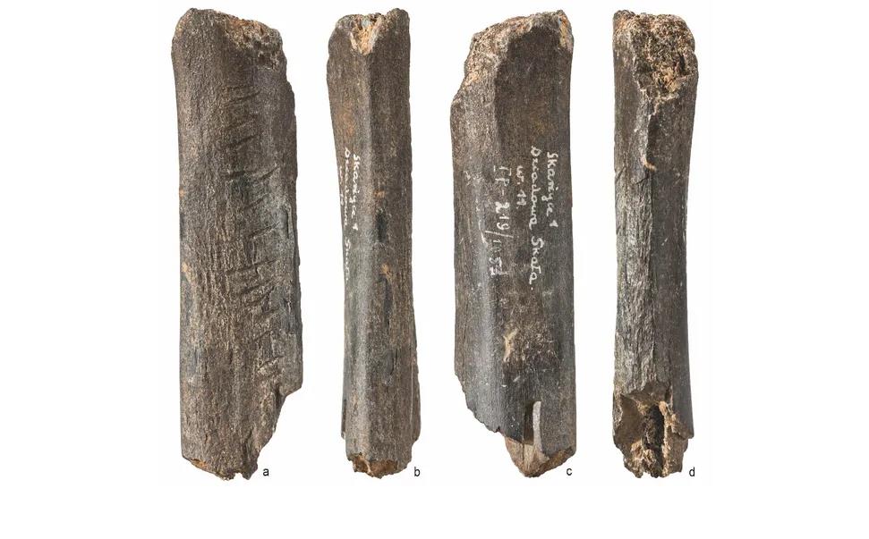 Sốc với tác phẩm nghệ thuật 130.000 năm của loài người khác- Ảnh 1. Sốc với tác phẩm nghệ thuật 130.000 năm của loài người khác- Ảnh 1.