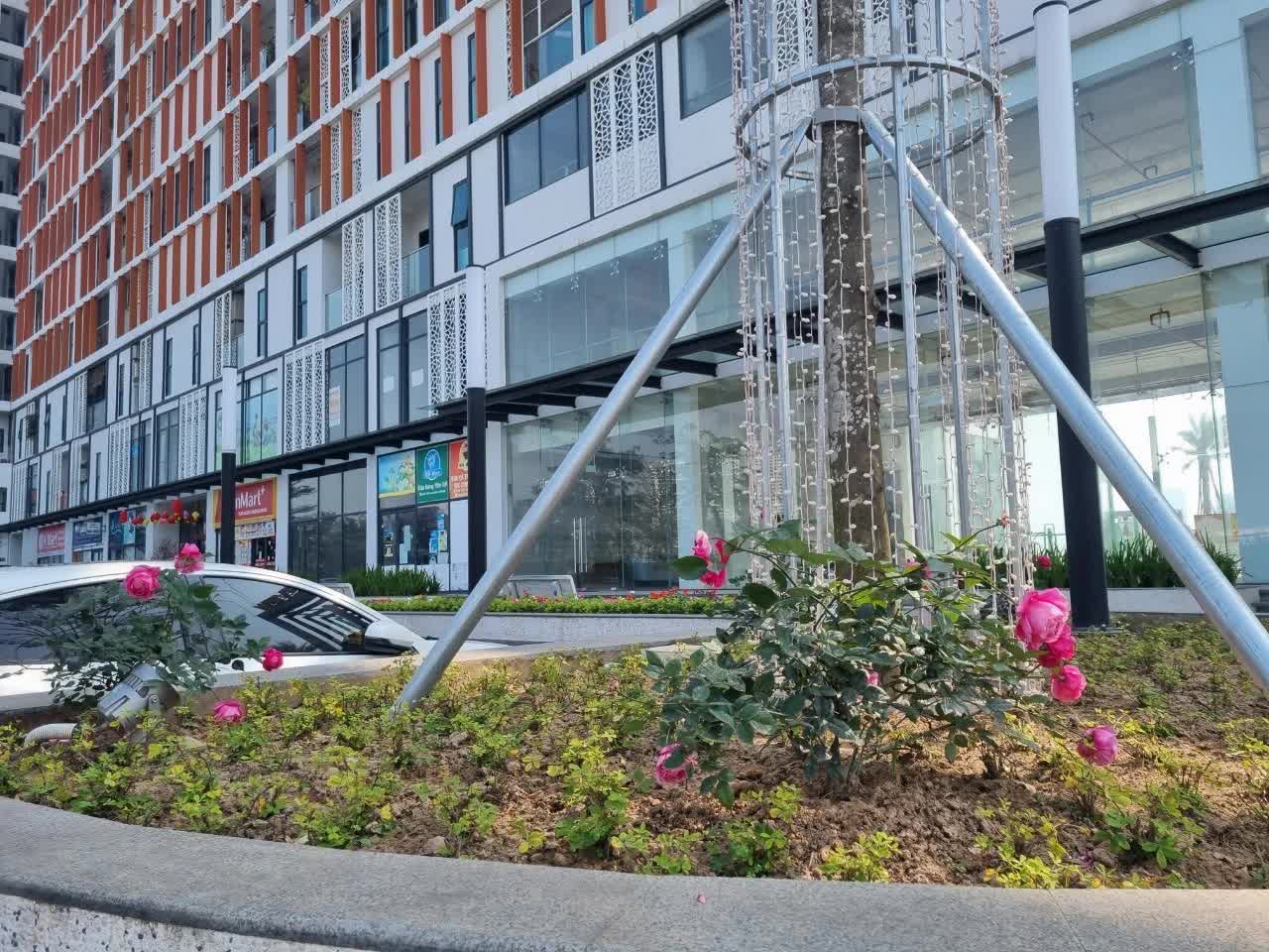 Sau 4 năm sống ở Anland Lake View, cư dân đưa ra đánh giá chi tiết: Rất nhiều điểm ưng ý duy chỉ có 1 điều vẫn chưa hài lòng- Ảnh 4. Sau 4 năm sống ở Anland Lake View, cư dân đưa ra đánh giá chi tiết: Rất nhiều điểm ưng ý duy chỉ có 1 điều vẫn chưa hài lòng- Ảnh 4.