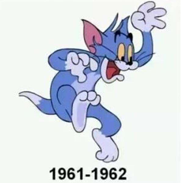 Mèo Tom thực sự có màu gì: Xanh hay xám?- Ảnh 7. Mèo Tom thực sự có màu gì: Xanh hay xám?- Ảnh 7.