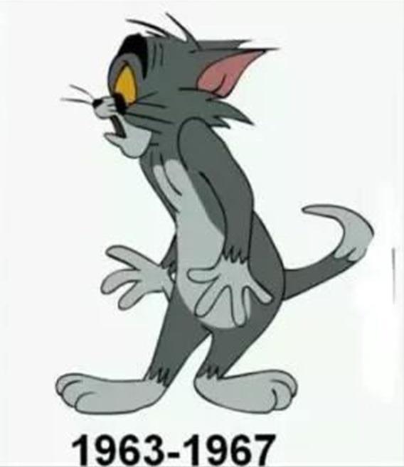 Mèo Tom thực sự có màu gì: Xanh hay xám?- Ảnh 8. Mèo Tom thực sự có màu gì: Xanh hay xám?- Ảnh 8.