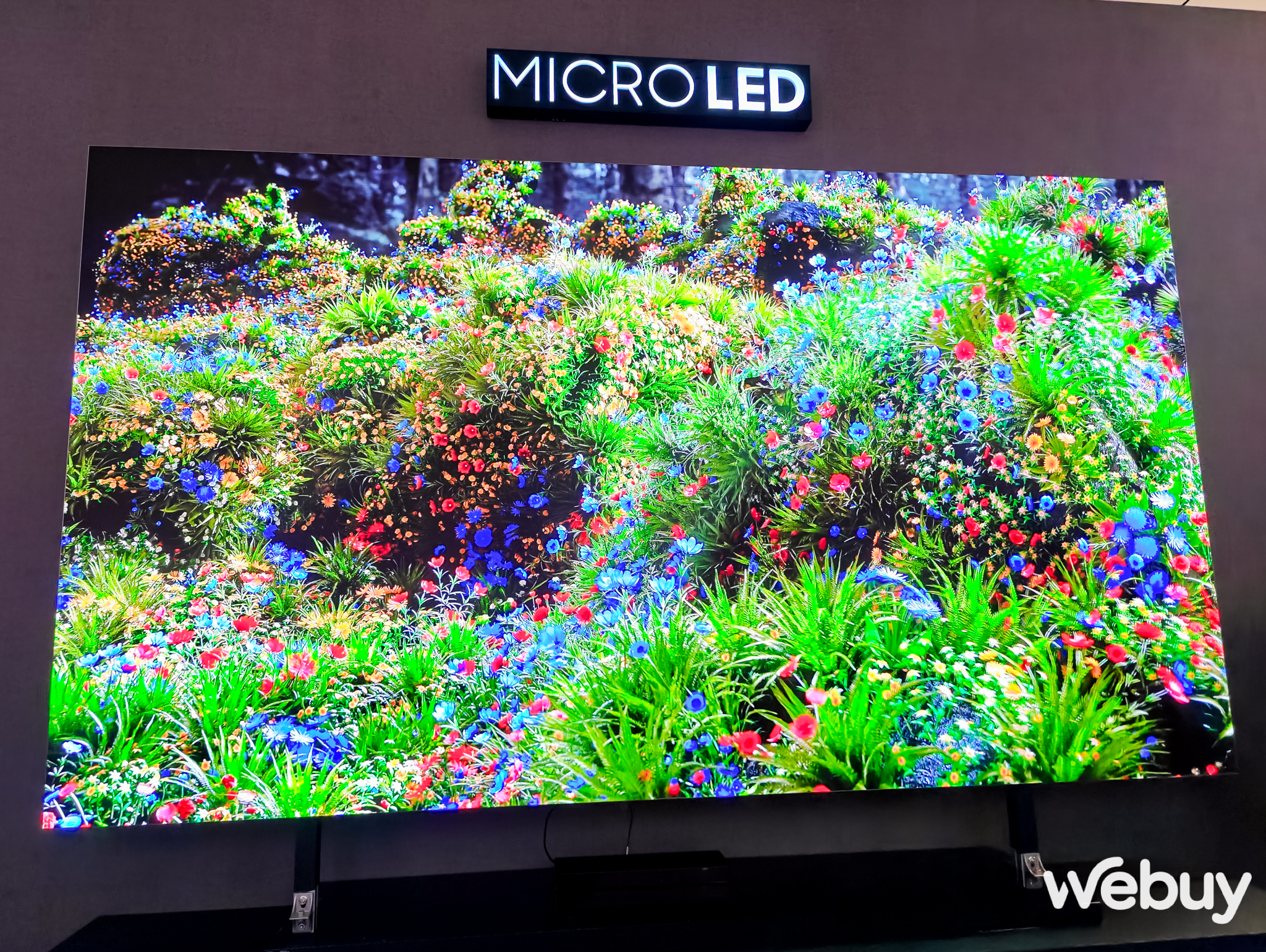 Cận cảnh dải sản phẩm TV Samsung 2024: Nhiều nâng cấp hấp dẫn từ trong ra ngoài, tập trung chính vẫn là AI- Ảnh 4. Cận cảnh dải sản phẩm TV Samsung 2024: Nhiều nâng cấp hấp dẫn từ trong ra ngoài, tập trung chính vẫn là AI- Ảnh 4.