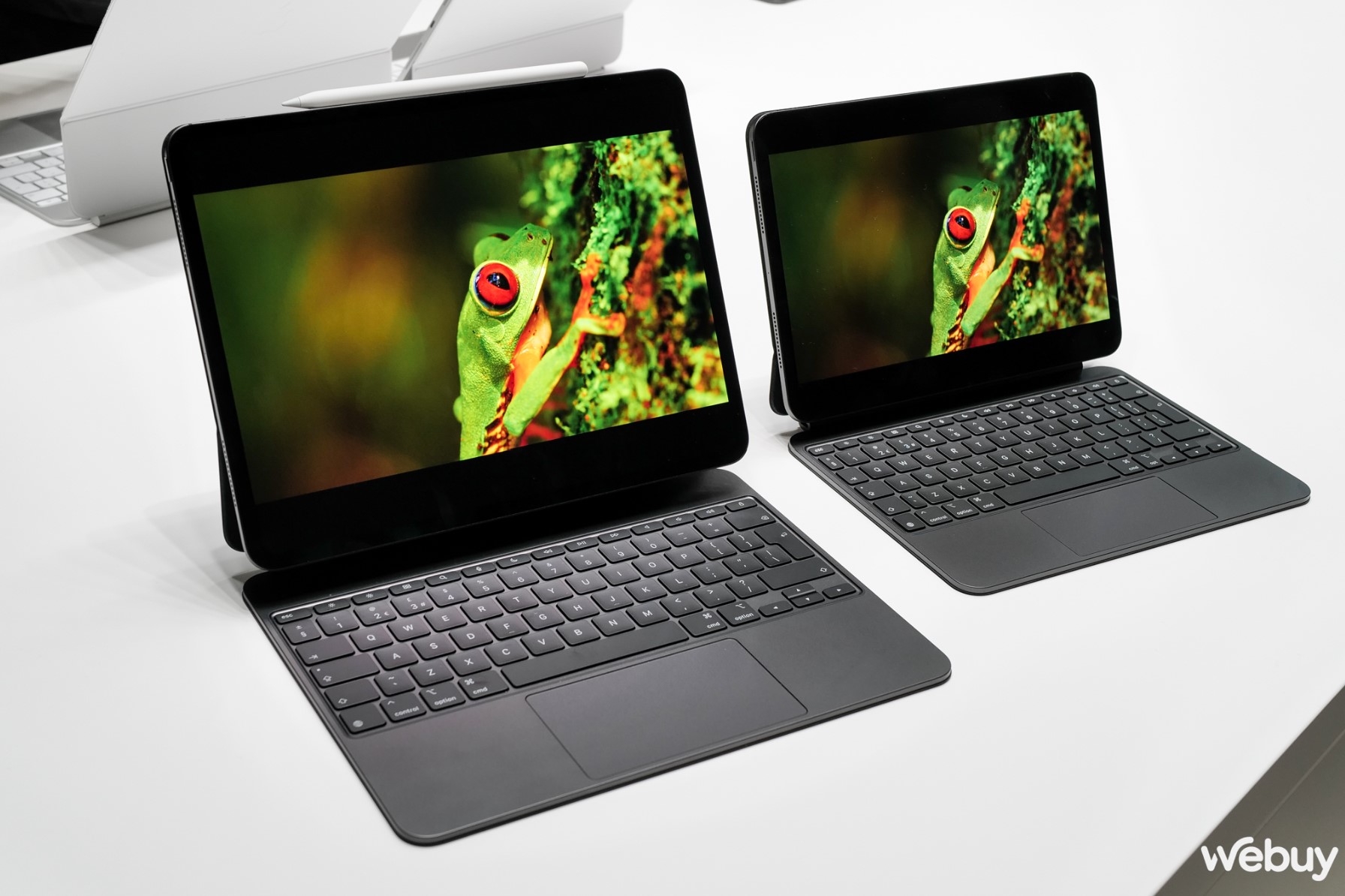 iPad Pro 2024 và Magic Keyboard mới chính là thứ tôi đang cần hiện tại- Ảnh 5. iPad Pro 2024 và Magic Keyboard mới chính là thứ tôi đang cần hiện tại- Ảnh 5.