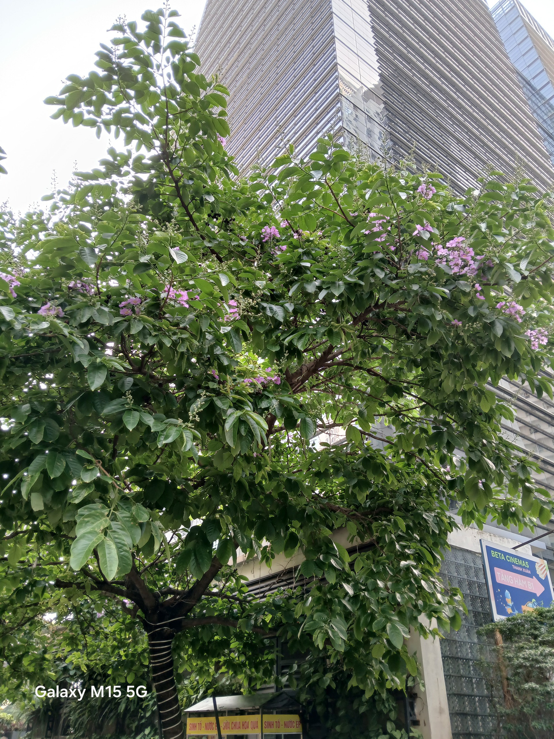 Smartphone 5G đáng mua nhất của Samsung: Thiết kế siêu bền bỉ, pin khủng 6000mAh, có tính năng bảo mật Knox, giá chỉ hơn 4 triệu đồng- Ảnh 25. Smartphone 5G đáng mua nhất của Samsung: Thiết kế siêu bền bỉ, pin khủng 6000mAh, có tính năng bảo mật Knox, giá chỉ hơn 4 triệu đồng- Ảnh 25.