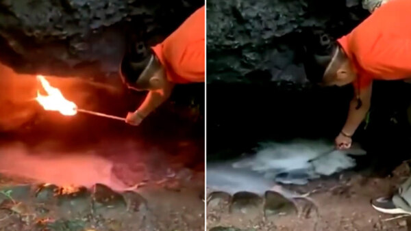 Hang tử thần ở Costa Rica c&oacute; thể mang đến c&aacute;i chết cho bất kỳ sinh vật n&agrave;o bước v&agrave;o n&oacute;- Ảnh 2.