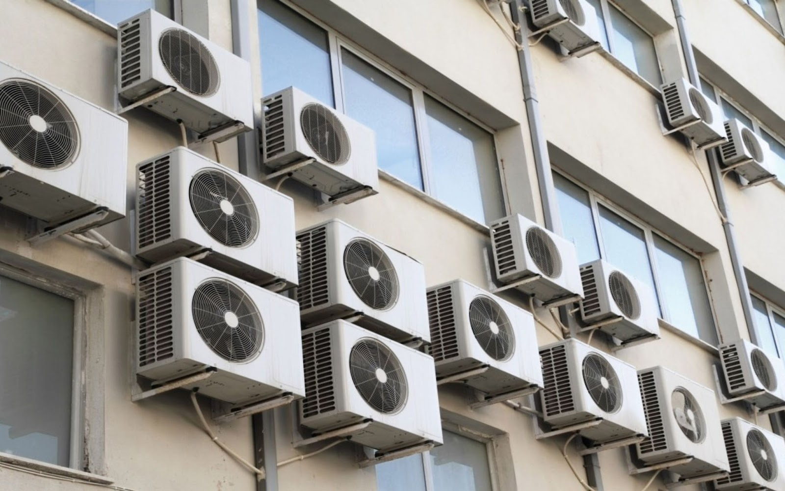 photo-1717940181938 photo-1717940181938