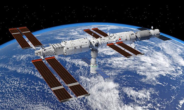 Biểu hiện kỳ lạ của loài cá được Trung Quốc đưa lên vũ trụ- Ảnh 1. Biểu hiện kỳ lạ của loài cá được Trung Quốc đưa lên vũ trụ- Ảnh 1.