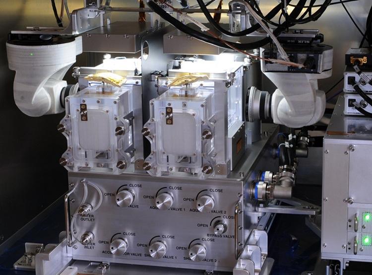 Biểu hiện kỳ lạ của lo&agrave;i c&aacute; được Trung Quốc đưa l&ecirc;n vũ trụ- Ảnh 2.