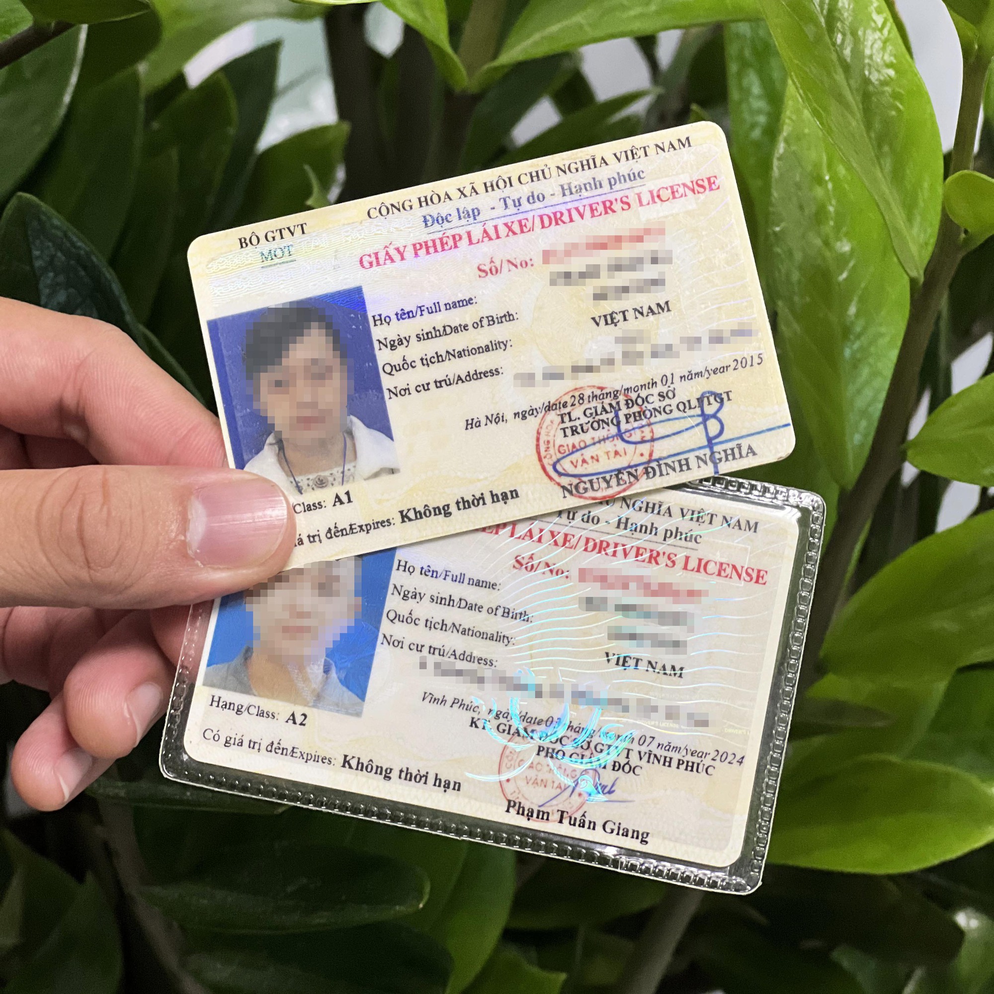 GPLX hạng A1 chỉ được điều khiển xe 125cc, có cần thi bằng phân khối lớn để chạy Winner, Exciter, SH...?- Ảnh 1. GPLX hạng A1 chỉ được điều khiển xe 125cc, có cần thi bằng phân khối lớn để chạy Winner, Exciter, SH...?- Ảnh 1.