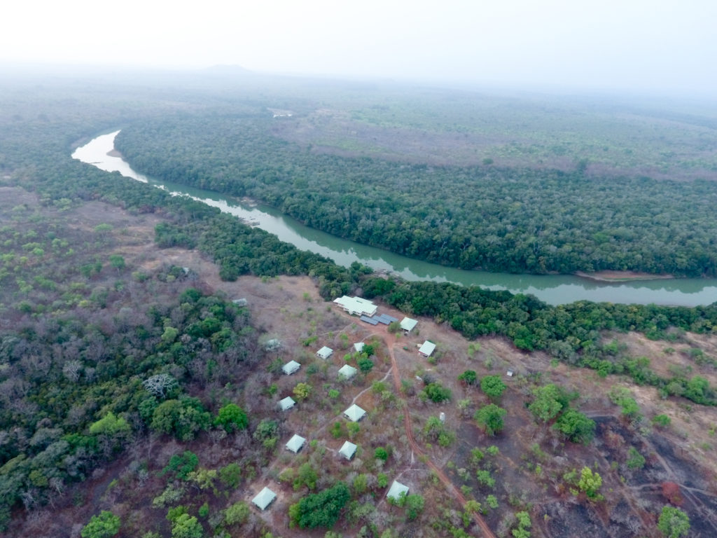 Chiến tranh với loài mối giúp kiến có được nền y tế tương đương con người sau Thế chiến I- Ảnh 3. Chiến tranh với loài mối giúp kiến có được nền y tế tương đương con người sau Thế chiến I- Ảnh 3.
