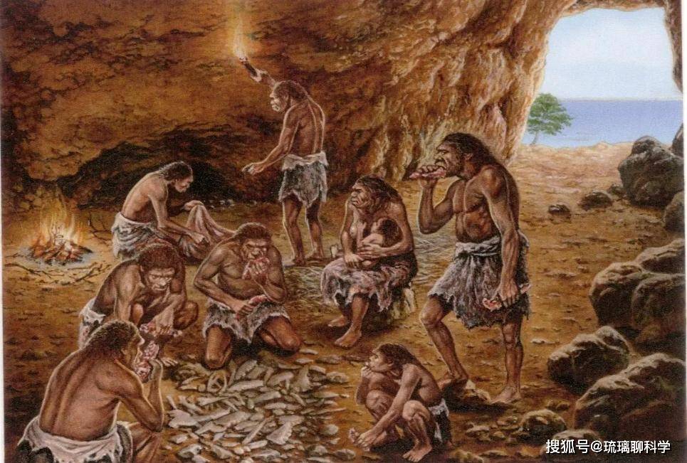 Tại sao độ axit dạ dày của con người lại gần với độ axit của loài ăn xác thối? - Ảnh 1. Tại sao độ axit dạ dày của con người lại gần với độ axit của loài ăn xác thối? - Ảnh 1.