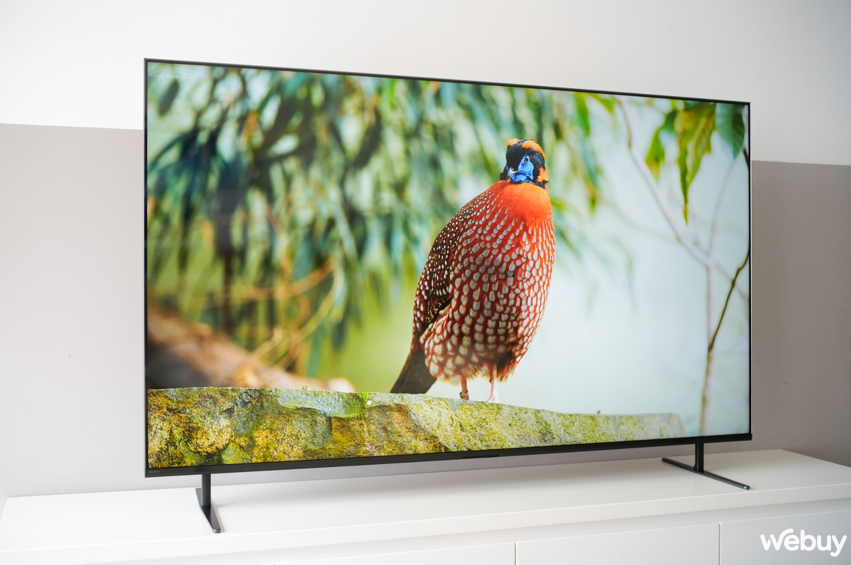 Trải nghiệm nhanh Bravia 7 Mini LED: Thiết kế tinh tế, nhiều công nghệ hình ảnh cao cấp và hỗ trợ nâng tầm chơi game trên PlayStation 5- Ảnh 6. Trải nghiệm nhanh Bravia 7 Mini LED: Thiết kế tinh tế, nhiều công nghệ hình ảnh cao cấp và hỗ trợ nâng tầm chơi game trên PlayStation 5- Ảnh 6.