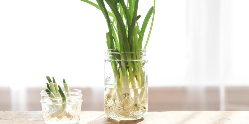 Tích trữ đồ ăn đề phòng ngập lụt cần chú ý: Đồ để được bao lâu, bảo quản thế nào cho tốt?- Ảnh 10. Tích trữ đồ ăn đề phòng ngập lụt cần chú ý: Đồ để được bao lâu, bảo quản thế nào cho tốt?- Ảnh 10.