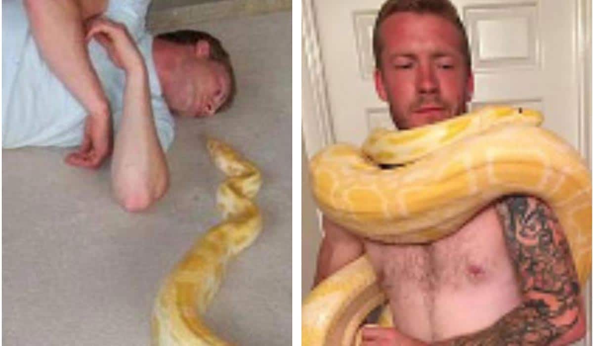 Những vụ trăn nuốt chửng người gây rúng động: Khi con người lấn át tự nhiên, cái giá phải trả là vô cùng khủng khiếp- Ảnh 13. Những vụ trăn nuốt chửng người gây rúng động: Khi con người lấn át tự nhiên, cái giá phải trả là vô cùng khủng khiếp- Ảnh 13.