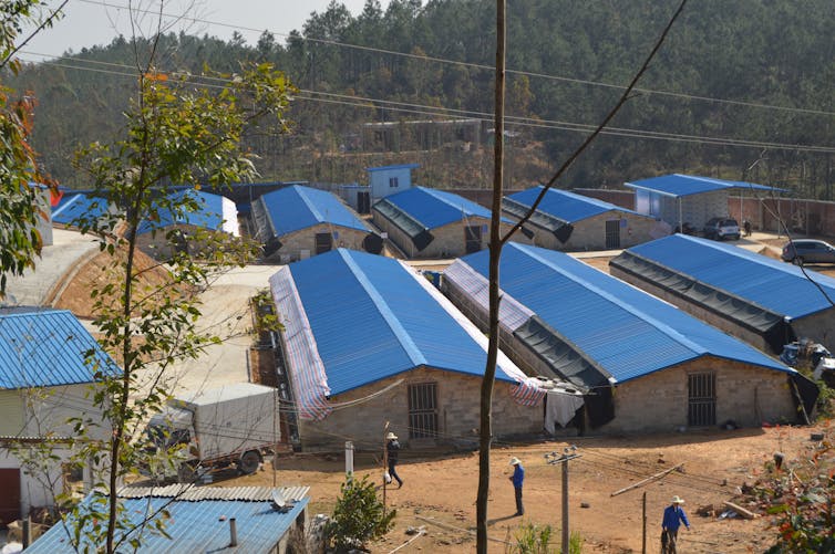 Người Việt đang ăn một loại thịt mà các nhà khoa học nghĩ cả thế giới nên học hỏi- Ảnh 7. Người Việt đang ăn một loại thịt mà các nhà khoa học nghĩ cả thế giới nên học hỏi- Ảnh 7.