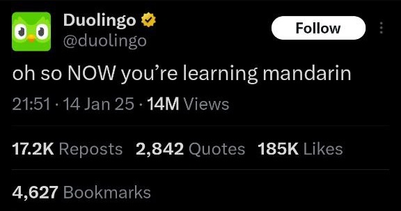 Người d&ugrave;ng TikTok Mỹ tr&agrave;n sang Tiểu Hồng Thư, lượng người Mỹ học tiếng Trung tr&ecirc;n Duolingo tăng 216%- Ảnh 2.