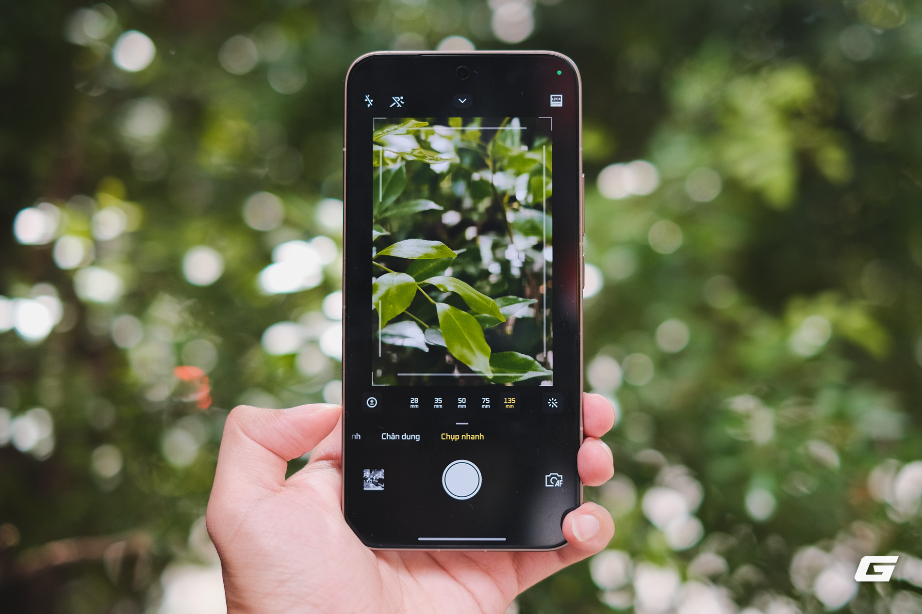 Camera Leica trên Xiaomi 15T Pro: Smartphone chạm vào cảm xúc của người cầm máy!- Ảnh 6. Camera Leica trên Xiaomi 15T Pro: Smartphone chạm vào cảm xúc của người cầm máy!- Ảnh 6.