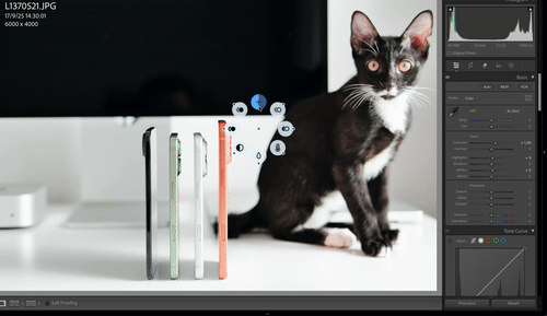 Trải nghiệm MX Master 4: 3 năm chờ đợi cho một biểu tượng được t&aacute;i sinh - phản hồi x&uacute;c gi&aacute;c, Action Rings, v&agrave; sự ho&agrave;n thiện đến từng chi tiết- Ảnh 25.