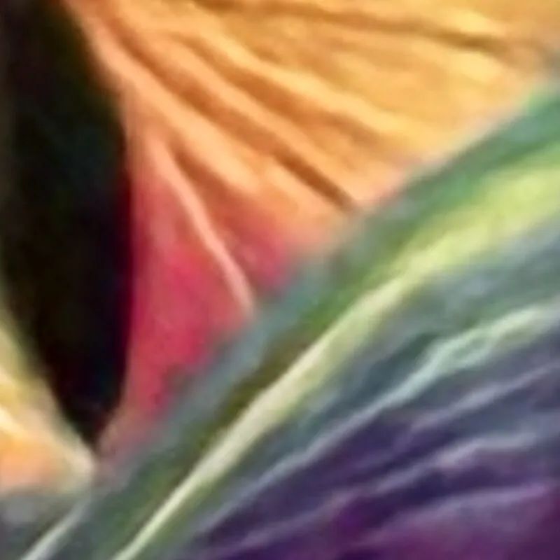 Reviewer so sánh camera Xiaomi 15 Ultra và iPhone 16 Pro Max, dân mạng xứ Trung vào phản pháo: Ai mua iPhone để chụp ảnh vậy?- Ảnh 27. Reviewer so sánh camera Xiaomi 15 Ultra và iPhone 16 Pro Max, dân mạng xứ Trung vào phản pháo: Ai mua iPhone để chụp ảnh vậy?- Ảnh 27.