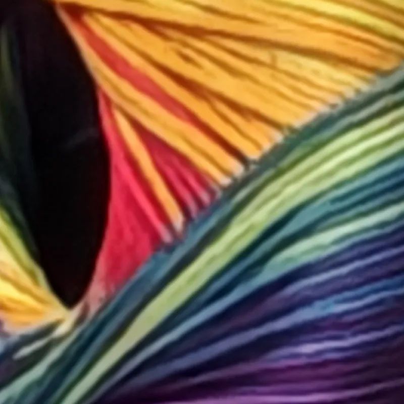 Reviewer so sánh camera Xiaomi 15 Ultra và iPhone 16 Pro Max, dân mạng xứ Trung vào phản pháo: Ai mua iPhone để chụp ảnh vậy?- Ảnh 28. Reviewer so sánh camera Xiaomi 15 Ultra và iPhone 16 Pro Max, dân mạng xứ Trung vào phản pháo: Ai mua iPhone để chụp ảnh vậy?- Ảnh 28.