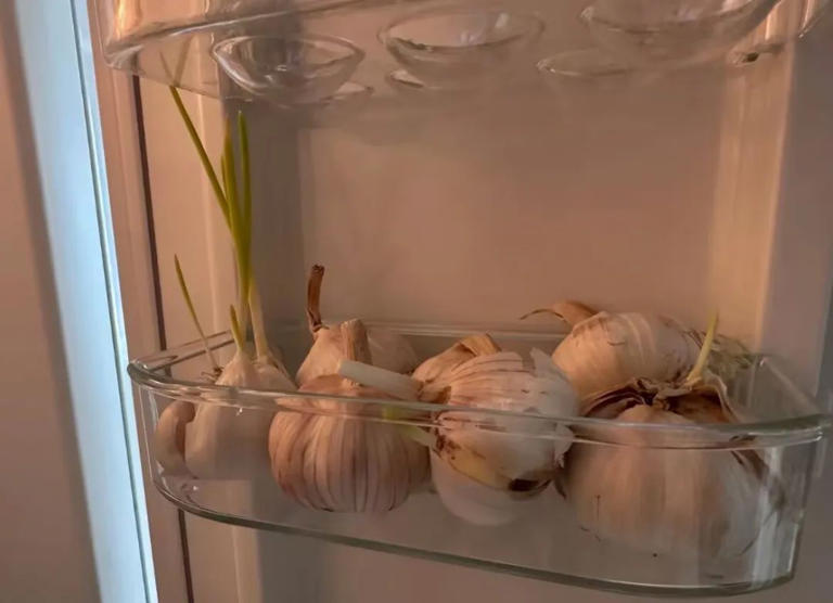 Bác sĩ đến chơi nhà, mở tủ lạnh ra bỗng thét lên: Bác sĩ đến chơi nhà, mở tủ lạnh ra bỗng thét lên: