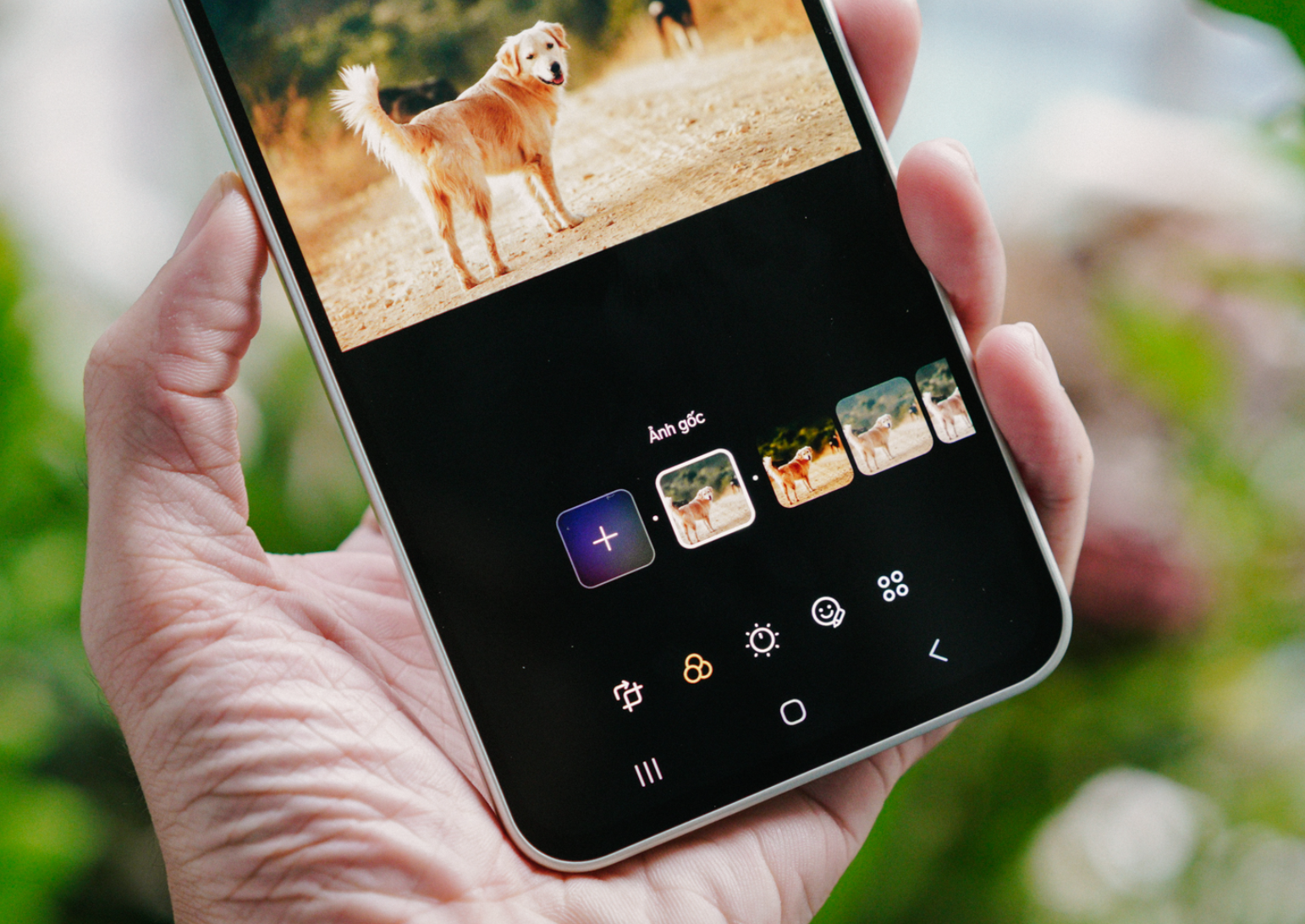 Galaxy A series mới v&agrave; AI đ&atilde; gi&uacute;p t&ocirc;i th&agrave;nh chuy&ecirc;n gia chụp ảnh ch&oacute; cưng như thế n&agrave;o- Ảnh 3.