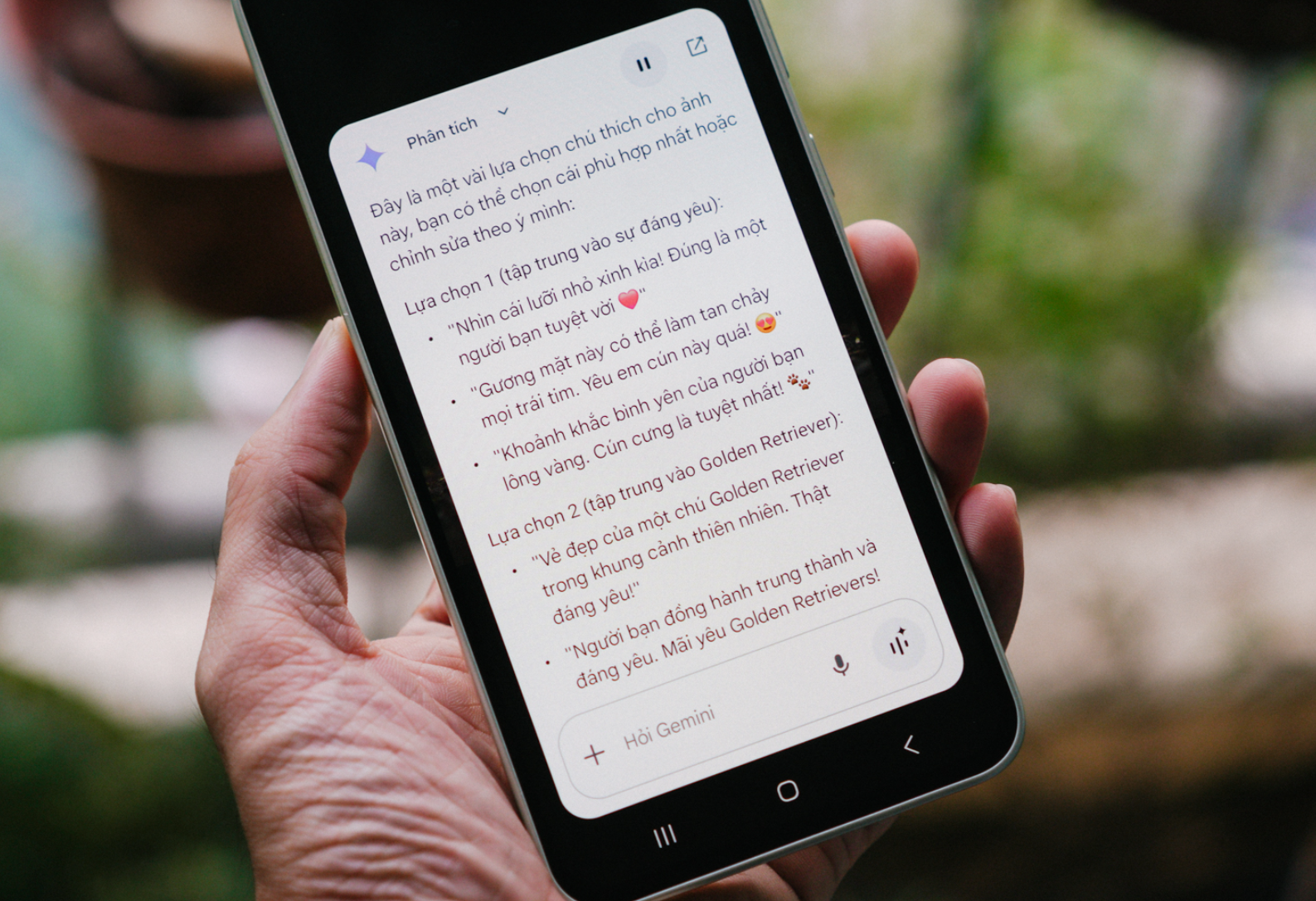 Galaxy A series mới v&agrave; AI đ&atilde; gi&uacute;p t&ocirc;i th&agrave;nh chuy&ecirc;n gia chụp ảnh ch&oacute; cưng như thế n&agrave;o- Ảnh 5.