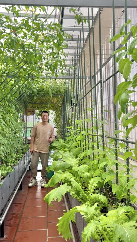 Gửi rau thay lời cảm ơn: Ông bố Hà Nội biến sân thượng thành vườn, tặng nông sản cho người ủng hộ thiện nguyện- Ảnh 12. Gửi rau thay lời cảm ơn: Ông bố Hà Nội biến sân thượng thành vườn, tặng nông sản cho người ủng hộ thiện nguyện- Ảnh 12.