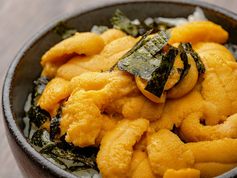 Sinh vật duy nhất trên Trái đất "nhìn bằng chân": Hóa ra là "nhân sâm của biển" - Ảnh 2. Sinh vật duy nhất trên Trái đất "nhìn bằng chân": Hóa ra là "nhân sâm của biển" - Ảnh 2.