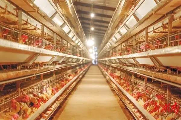 Vì sao công nghệ càng tối tân, con người càng cảm thấy kiệt quệ? - Ảnh 2.