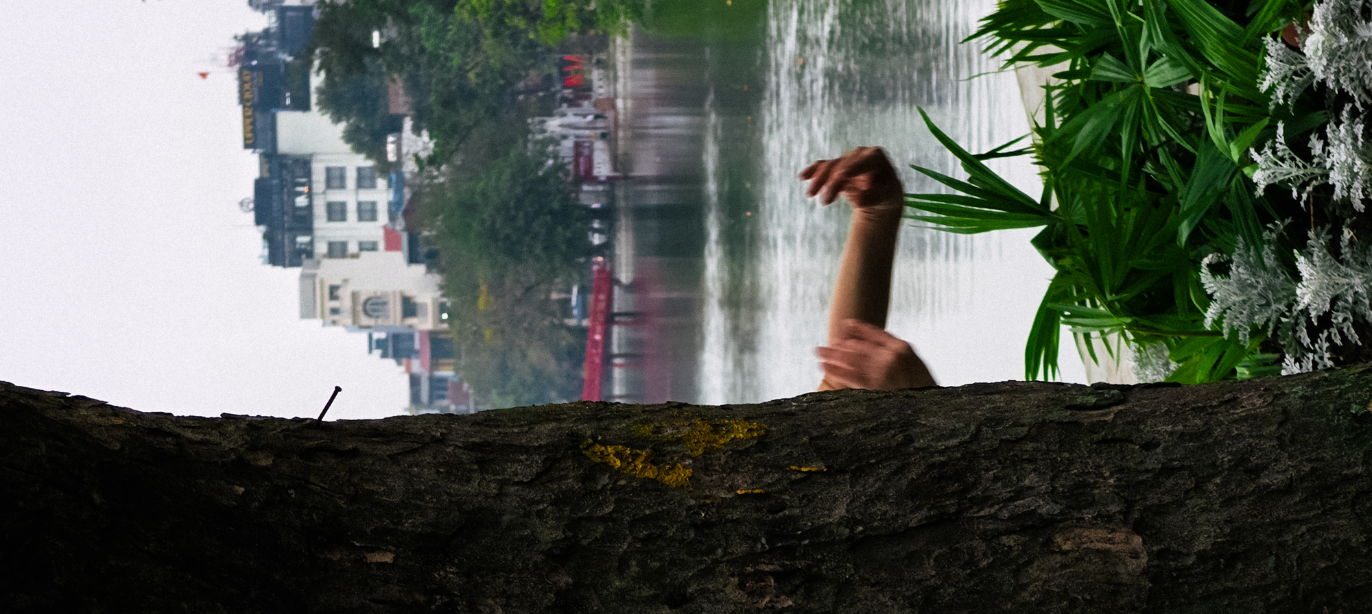 C&ugrave;ng Galaxy S26 Ultra ngắm Thủ Đ&ocirc; m&ugrave;a 'đỏng đảnh':  Gh&eacute; chợ sớm Long Bi&ecirc;n, thăm d&agrave;n hoa giấy khu tập thể để thấy h&oacute;a ra H&agrave; Nội vẫn 't&igrave;nh' đến vậy - Ảnh 52.