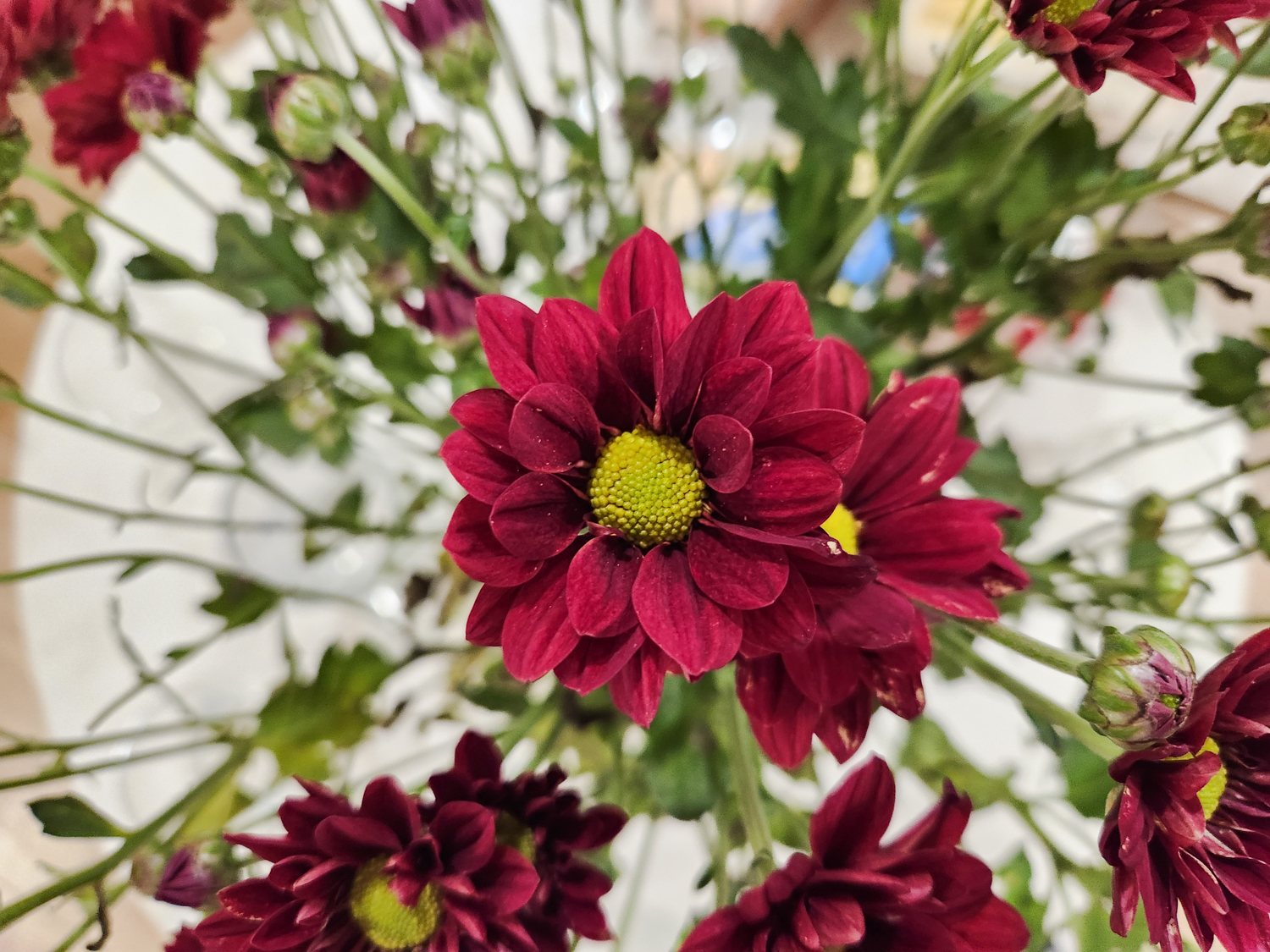 Ảnh chụp từ Galaxy A57