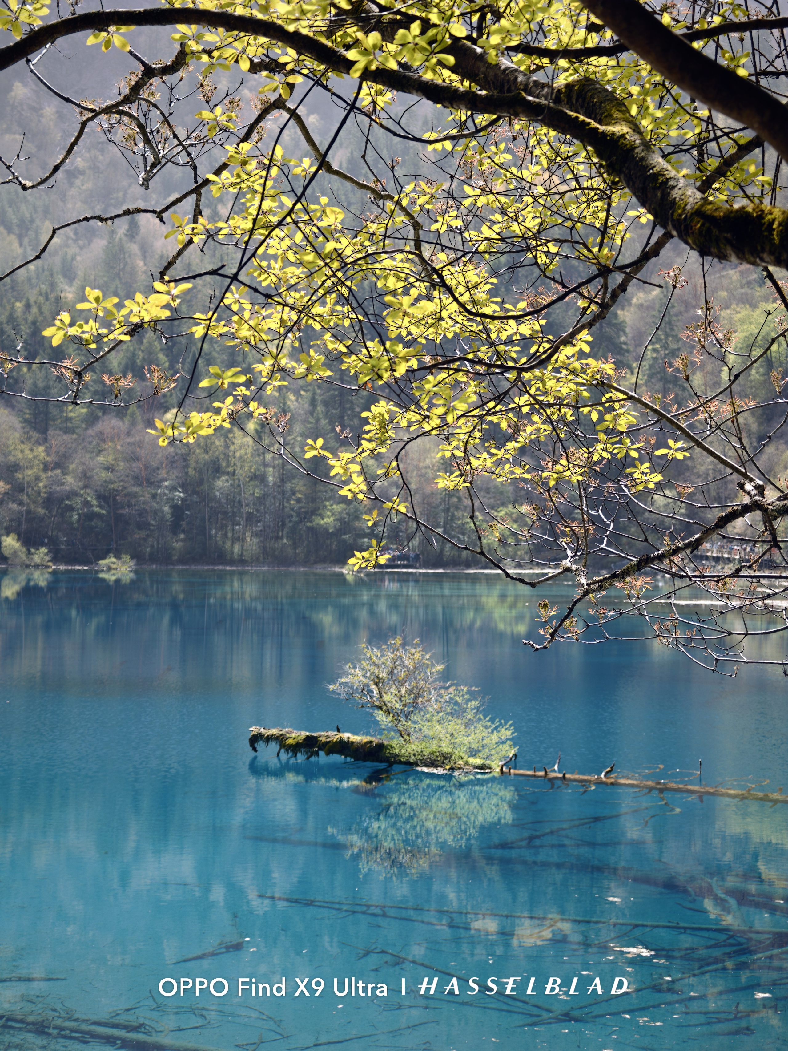 Đến Th&agrave;nh Đ&ocirc; ngắm gấu tr&uacute;c, l&ecirc;n Cửu Trại C&acirc;u chạm v&agrave;o "Thi&ecirc;n Đường Hạ Giới" - Ảnh 39.