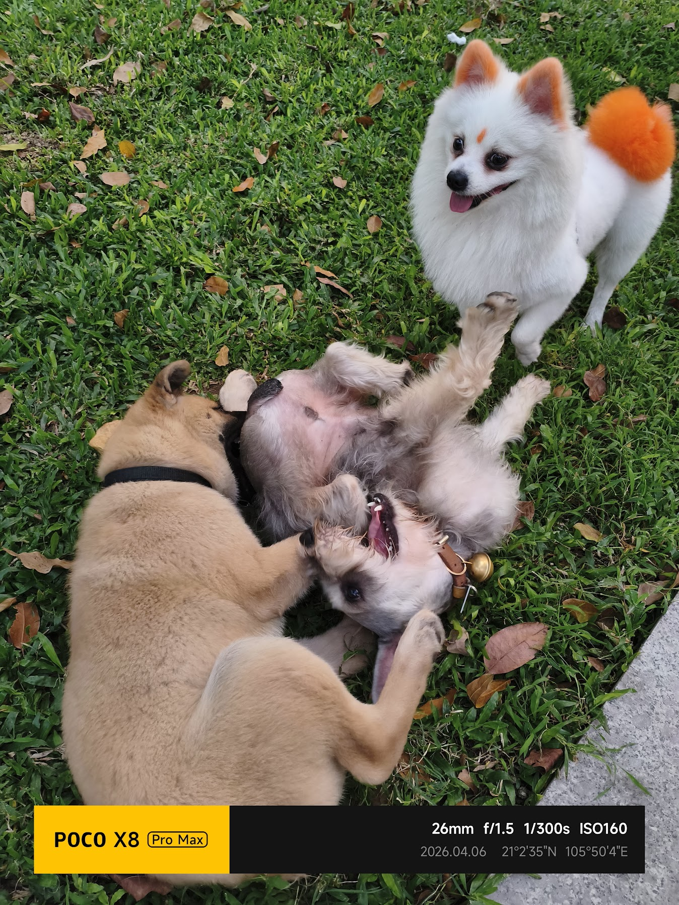 Ảnh mẫu POCO X8 Pro Max 6