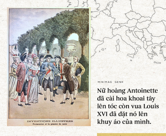 Lịch sử th&uacute; vị của khoai t&acirc;y: &ldquo;Quả t&aacute;o quỷ&rdquo; đem thịnh vượng đến cho những đế quốc - Ảnh 13.
