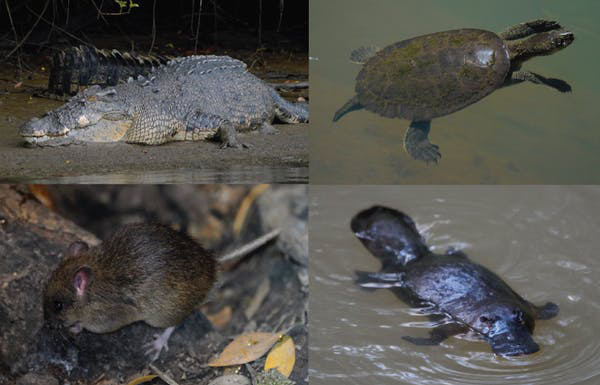 Lửa đ&atilde; từng g&acirc;y ra thảm kịch diệt vong tr&ecirc;n mặt đất, đại họa n&agrave;y vẫn c&oacute; thể diễn ra một lần nữa - Ảnh 4.