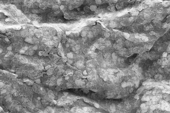 Từ nhựa th&ocirc;ng thường, c&aacute;c nh&agrave; khoa học tạo ra loại v&agrave;ng 18K si&ecirc;u nhẹ mới - Ảnh 3.