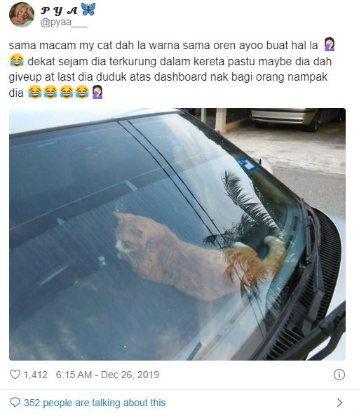 Bị nhốt trong ô tô nhà hàng xóm, chú mèo nhanh trí bật luôn đèn cảnh báo nguy hiểm để gọi sen cứu giúp - Ảnh 3. Bị nhốt trong ô tô nhà hàng xóm, chú mèo nhanh trí bật luôn đèn cảnh báo nguy hiểm để gọi sen cứu giúp - Ảnh 3.